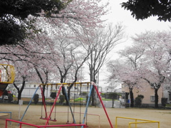 公園