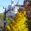 東京競馬場