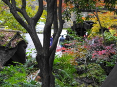 黒茶屋周囲