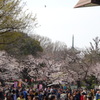 上野公園