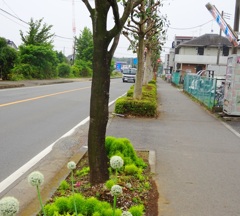 理髪店前の道