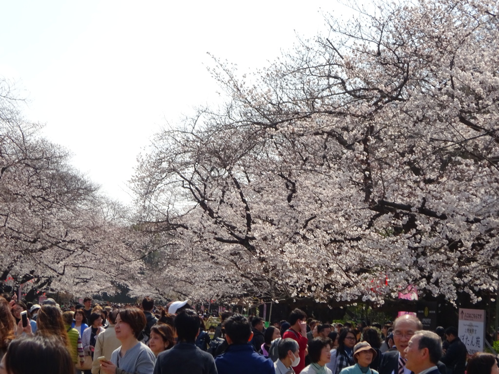 上野公園