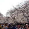 上野公園