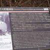大久野島