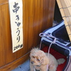 漬物店の看板犬