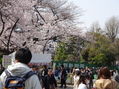 上野公園