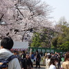 上野公園