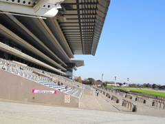 東京競馬場