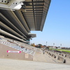 東京競馬場