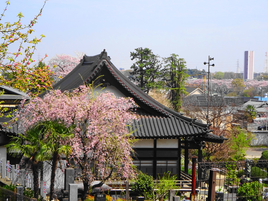 お寺