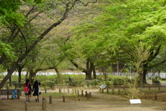 公園
