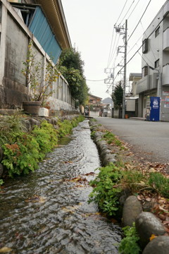 谷保天満宮　横の水路