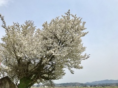 314F8E50-1E75-4CFC-BEF7-C47EC64F14F5