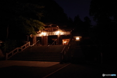 お朔日 神社参拝