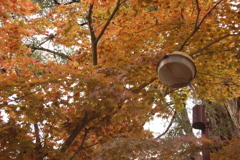 街灯らしい街灯　神社その10