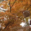 街灯らしい街灯　神社その10