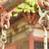 ブランコ　古寺　境内　早番その5