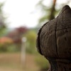 境内 古寺 早番その7