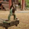 ブランコ 古寺 境内 早番その4