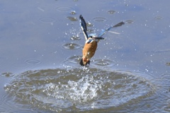 09370507-2400-4C68-B24C-326CFF35BDE7