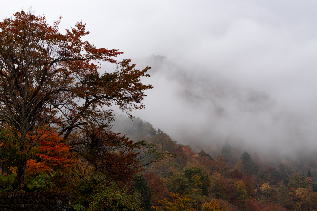 雨振りましたぁ