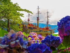 紫陽花と海賊船