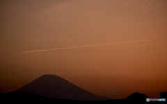 夕暮時  富士とカラスと  飛行機雲と