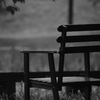 monochrome