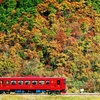 錦秋 長良川鉄道