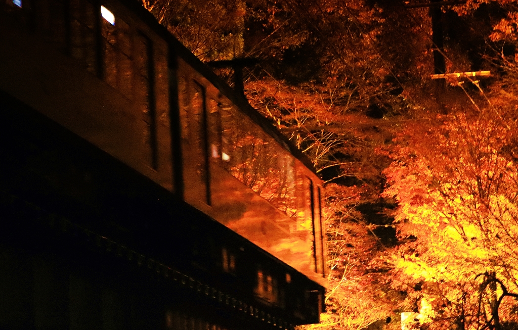 もみじのトンネルへ