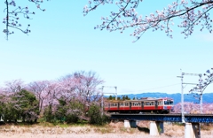春の三岐鉄道