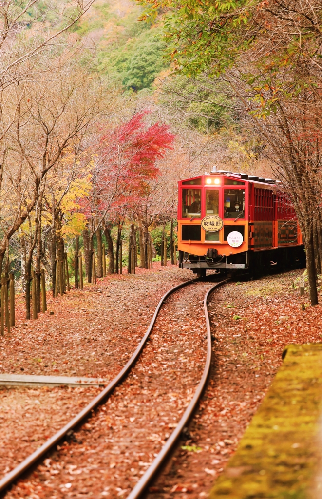 紅葉巡りへ