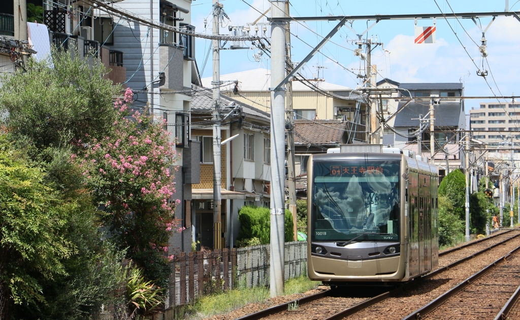 住宅街を滑走する堺トラム