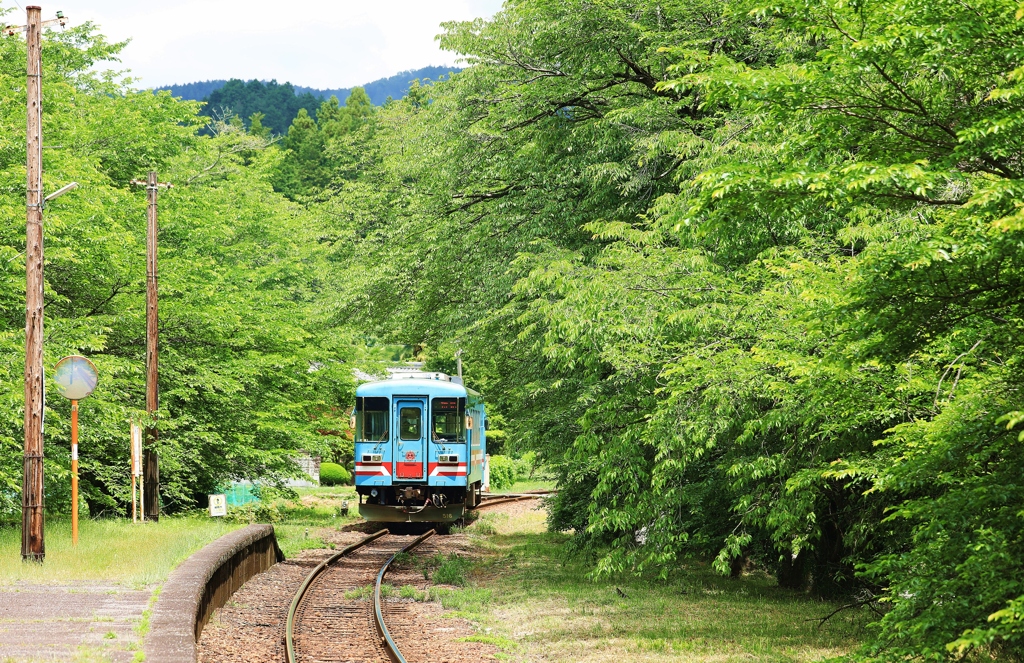 夏の鉄路