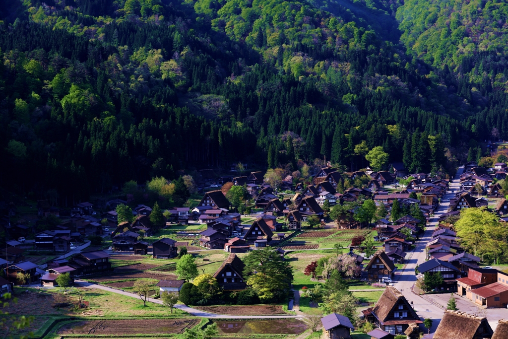 白川郷 「皐月」