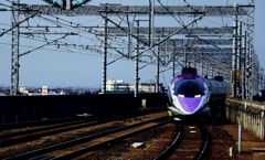 500Type EVA