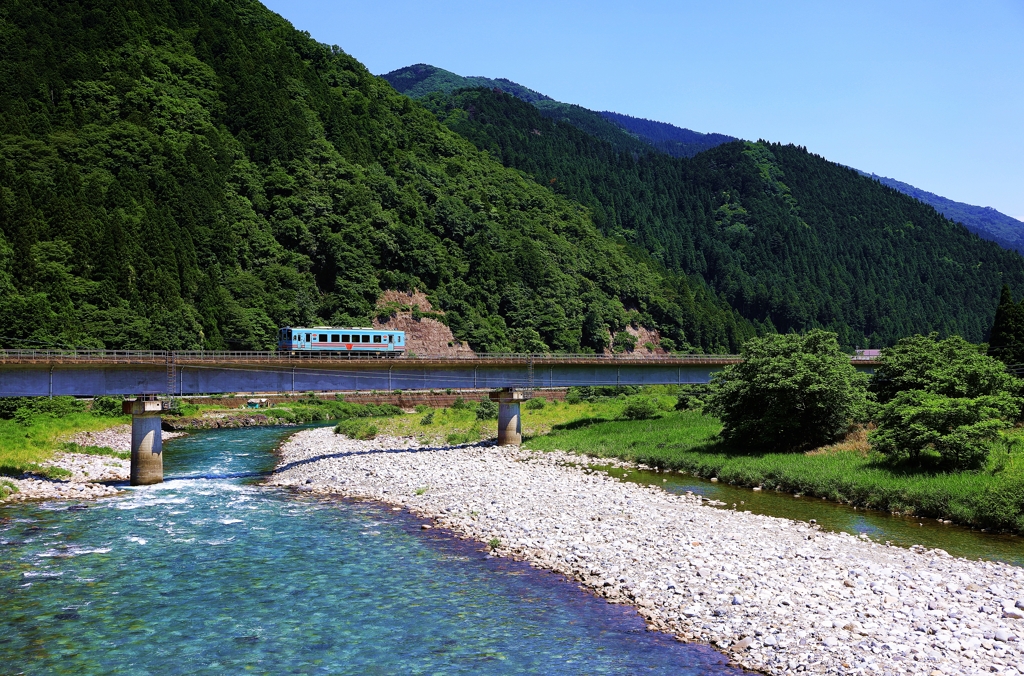 清流 根尾川