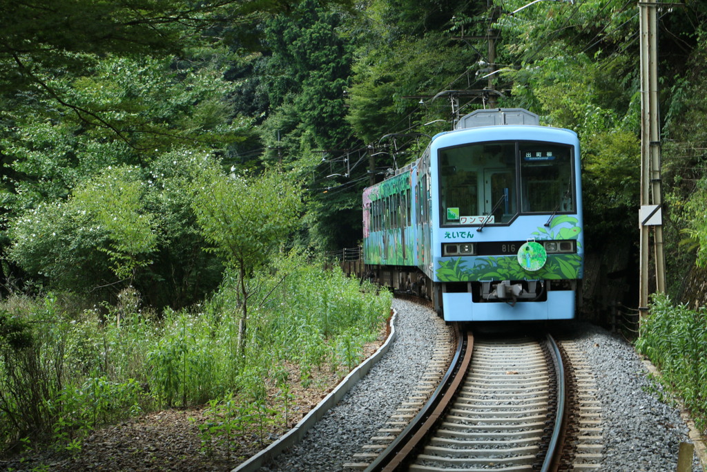 叡山電車　こもれび