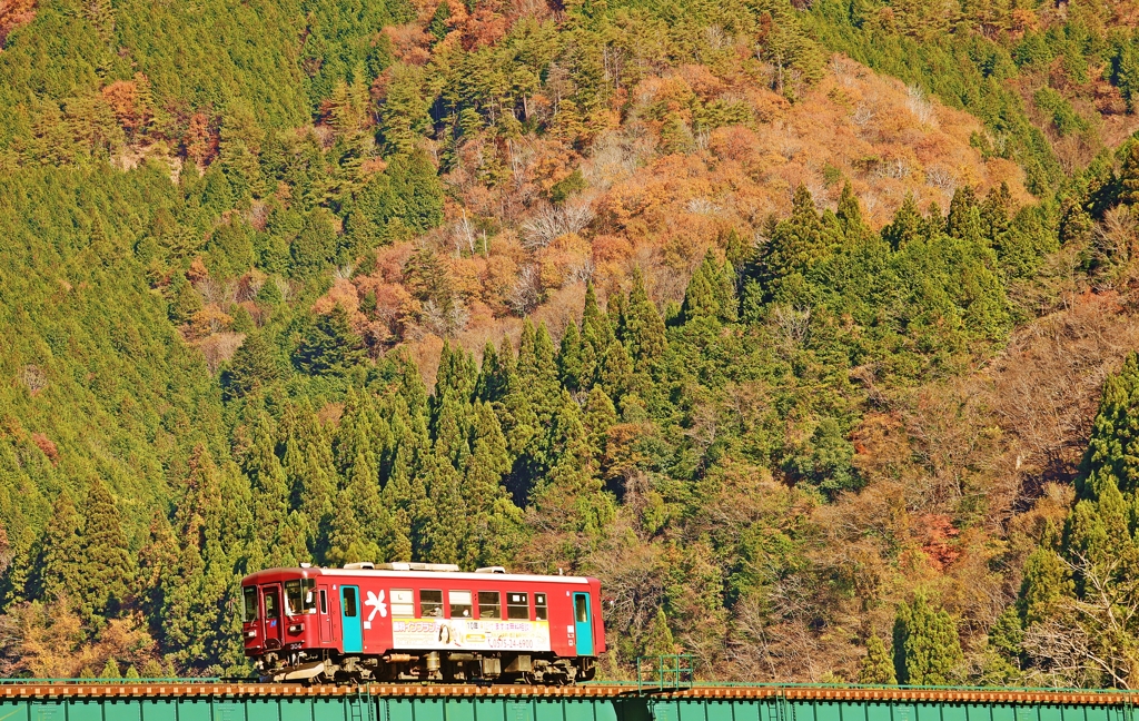 秋を走る列車