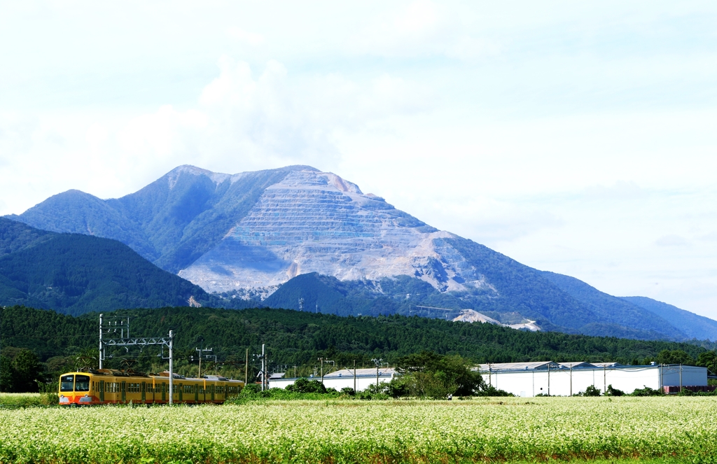 藤原岳のそば