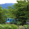 紫陽花咲く樽見鉄道沿線