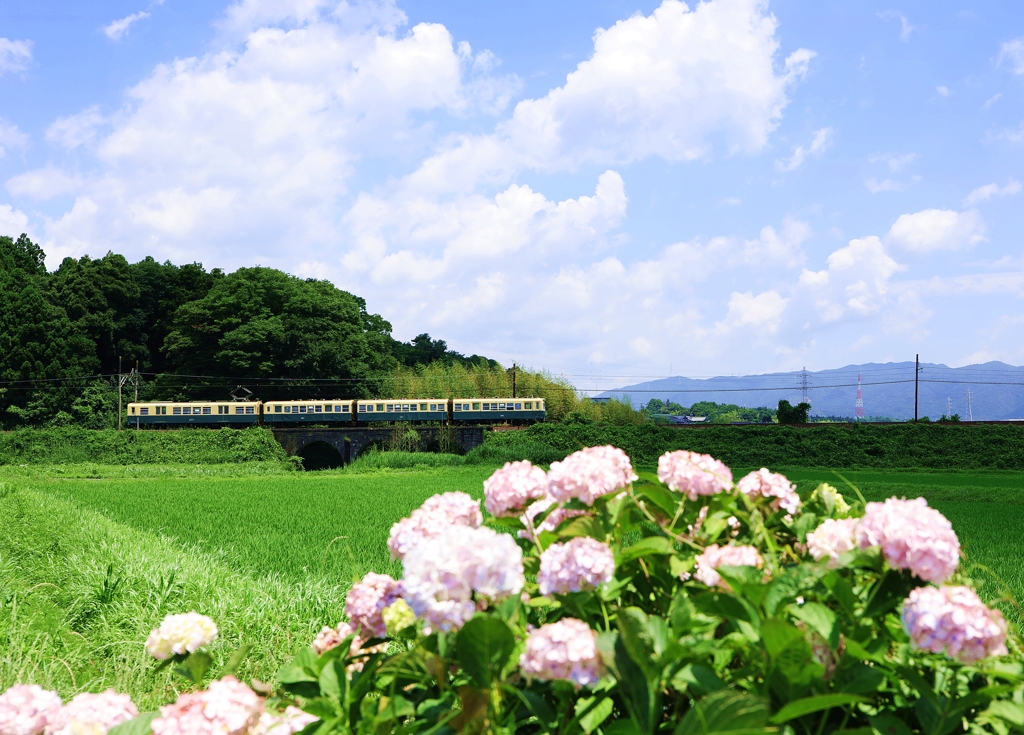 水無月 北勢線