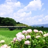 水無月 北勢線