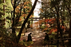 秋色の戸隠神社