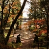 秋色の戸隠神社