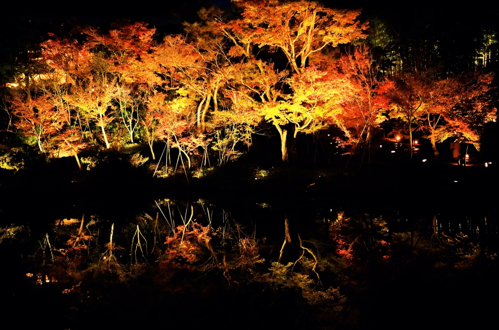 紅葉の水鏡
