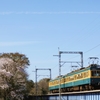 桜咲く三岐線