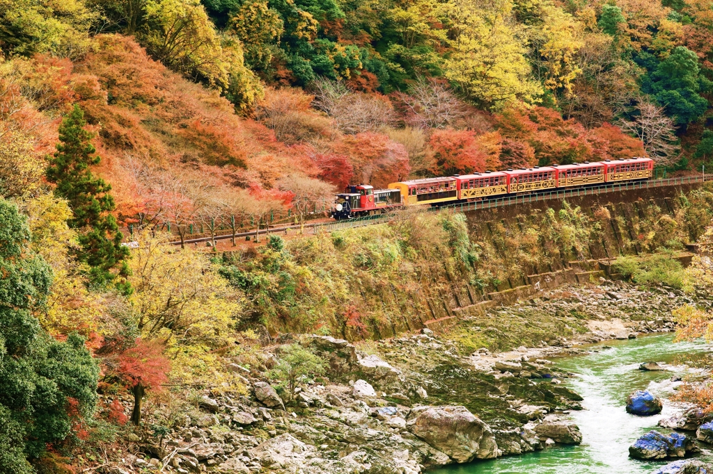 嵯峨野 名勝