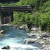 飛騨川の渓流