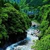 新緑の溪谷